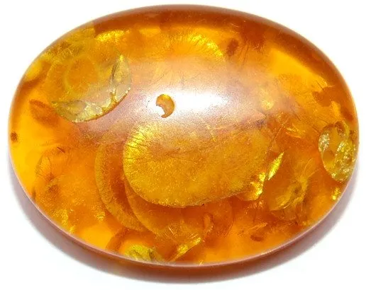 33.70 Cts. Lab Certified Natural Golden Honey Baltic Amber Cabochon