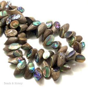 Graywood with Abalone Shell Inlay Stick Bias Cut 20x10mm (Half Strand)
